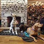 The Fleece At Ruleholme * Irthington