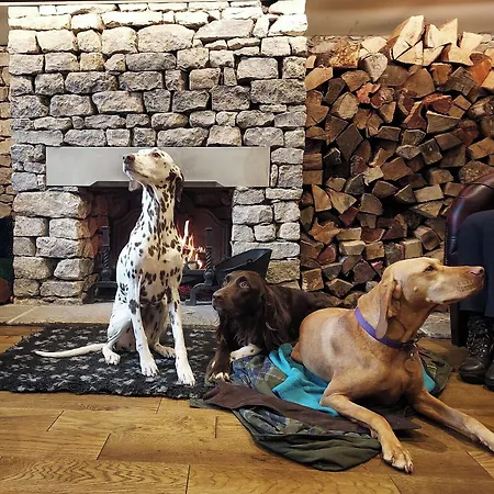 The Fleece At Ruleholme * Irthington