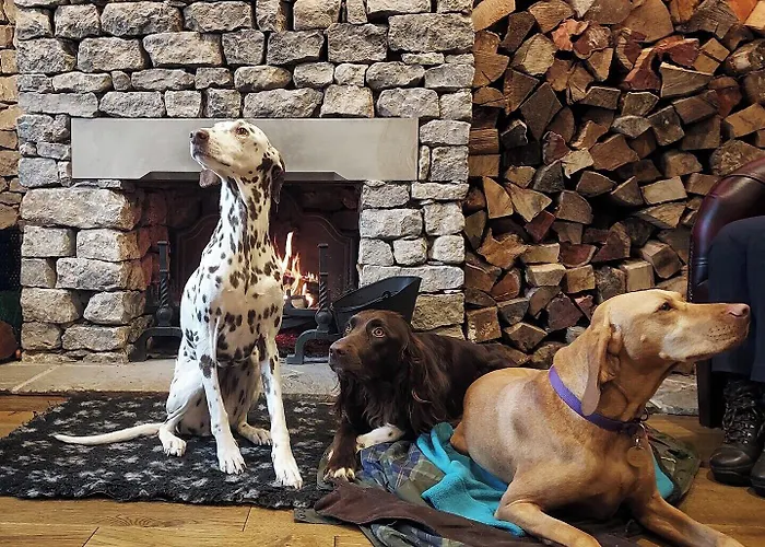 The Fleece At Ruleholme * Irthington